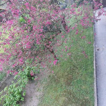 בית אירוח Narnia *