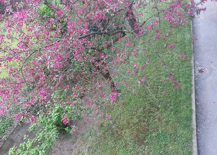 Quarto em Acomodações Particulares Narnia *